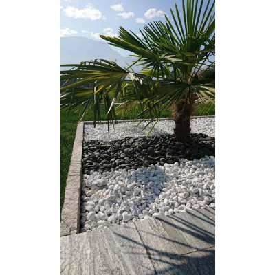 Galets polis noirs 3/5cm